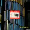 Spring Steel Bar (60Si...