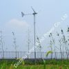 300W Wind Turbine