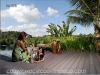 wood plastic composite...