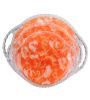 plastic fruit tray