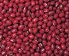Small Red Beans