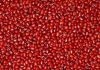 Small Red Beans