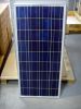 175W Poly-crystalline silicon solar module