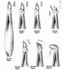 Extracting Forceps(English Pattern)