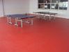 table tennis sports fl...