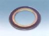 SPIRAL WOUND GASKET