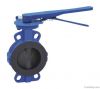 PTFE Lined Butterfly Valve lug type