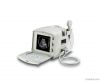 Portable Ultrasound Sc...