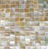 Shell Mosaic Tile(MJ-G01)