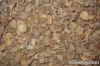 palm kernel shell