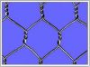 Hexagonal Wire Mesh