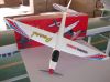 R/C plane, Pearl, glid...