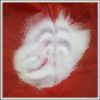 Nonionic polyacrylamide