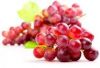 Grape vine extract