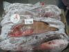 REEFCOD