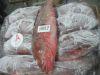 REEFCOD