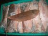 SOLE FISH