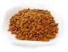 Apricot Kernel