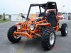 buggy 260cc