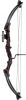 Chaser Compound Bow  S...