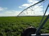 irrigation system