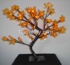 Tree Lights for Maple ...