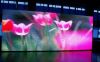 led display
