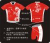 cycling jerseys  (cust...