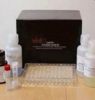 Human ATP-binding cass...