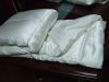 Silk Quilt with Silk S...