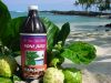 100% Pure Noni Juice Hawaiian at Wholesale Price!