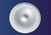 Gypsum ceiling rose