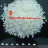 Round rice_calrose ric...