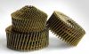 common coil nail
