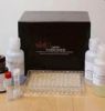 Human CD4 ELISA Kit
