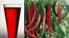 Red Chilli Extract
