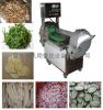 Multifunction inverter...