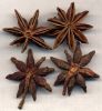 Star Anise/Lllicium Ve...