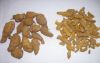 Turmeric/Curcuma Longa...