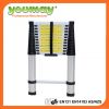 Aluminum Telescopic ladder