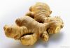 Ginger Root Extract Gi...