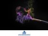 Lavender Fragrance (Fo...