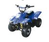 atv , 49cc atv , mini atv , pocket atv