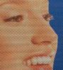Perforated Vinyl,one w...