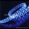 LED Rope Light
