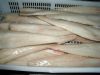 frozen cod fish/polloc...