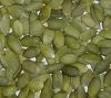 Shelled Pumpkin Seeds ...