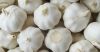 pure white garlic