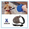 Retractable dog leash ...