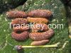 Sea Cucumber